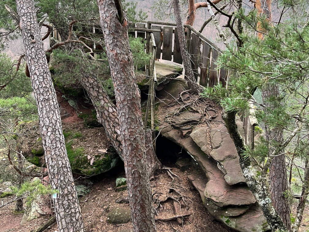 24-02-27 13-53-56 8747